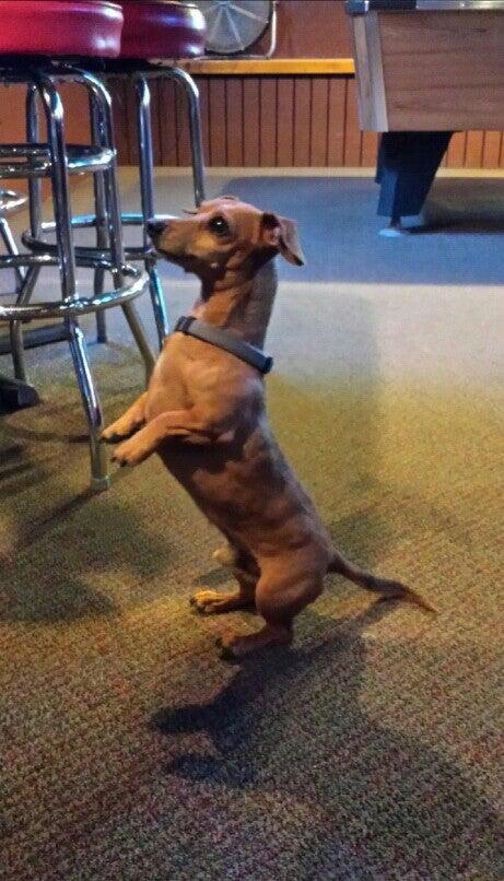 Photo credit: nextdoor