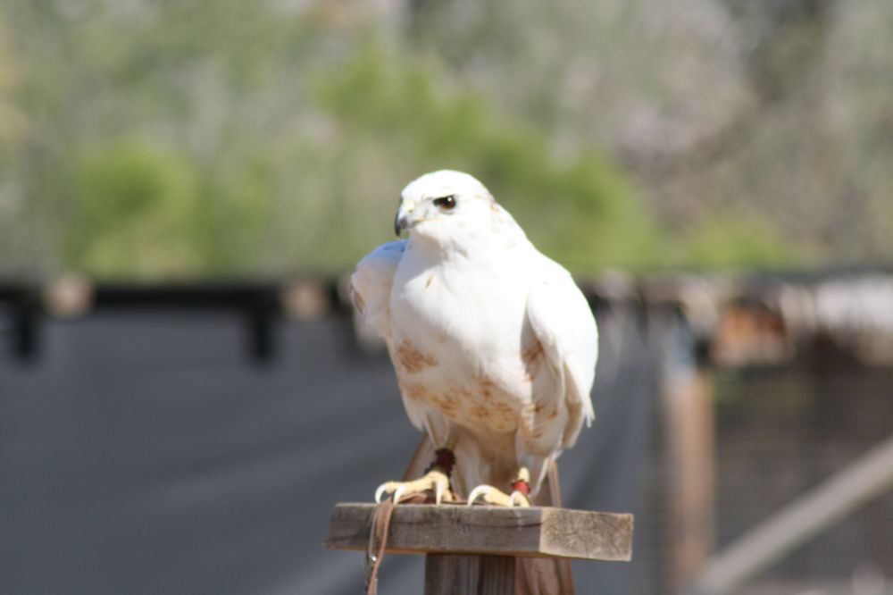 Photo credit: 
