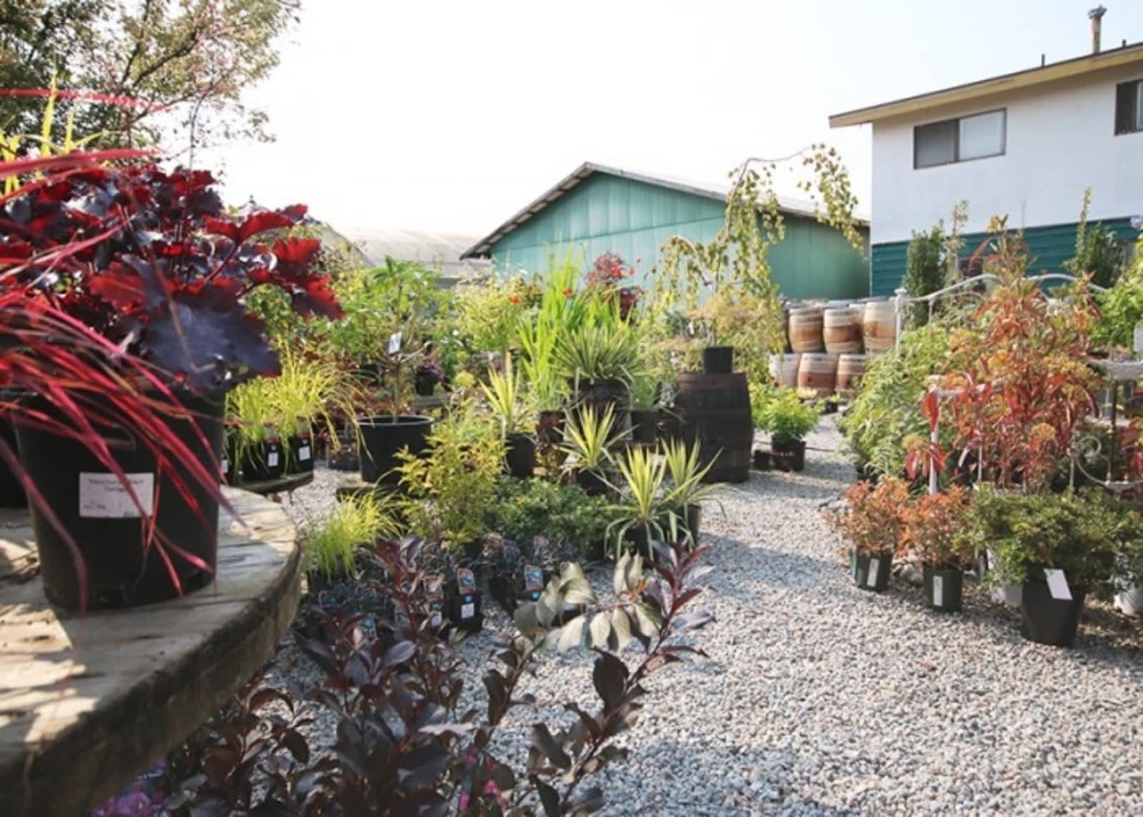 Photo credit: yellowpages.ca