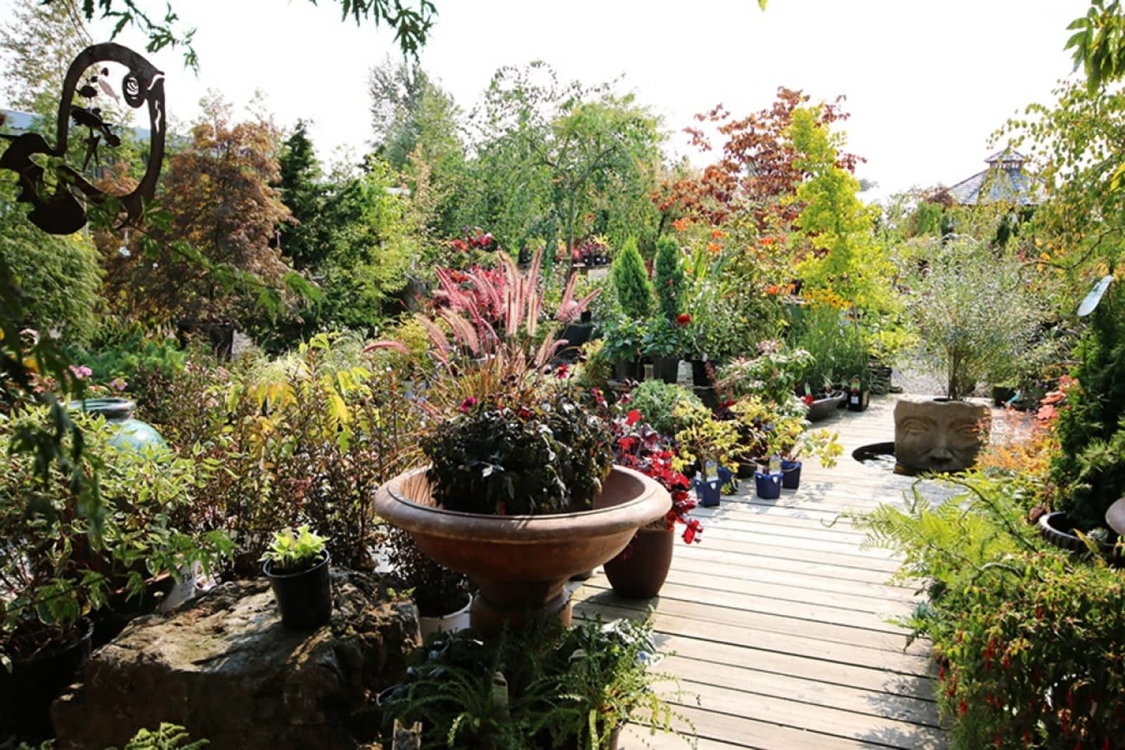 Photo credit: yellowpages.ca