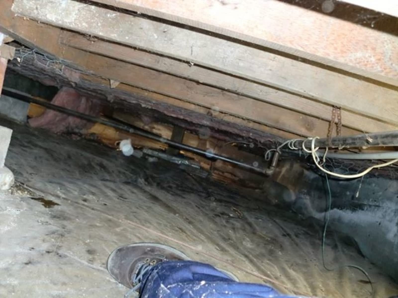 Photo credit: yellowpages.ca