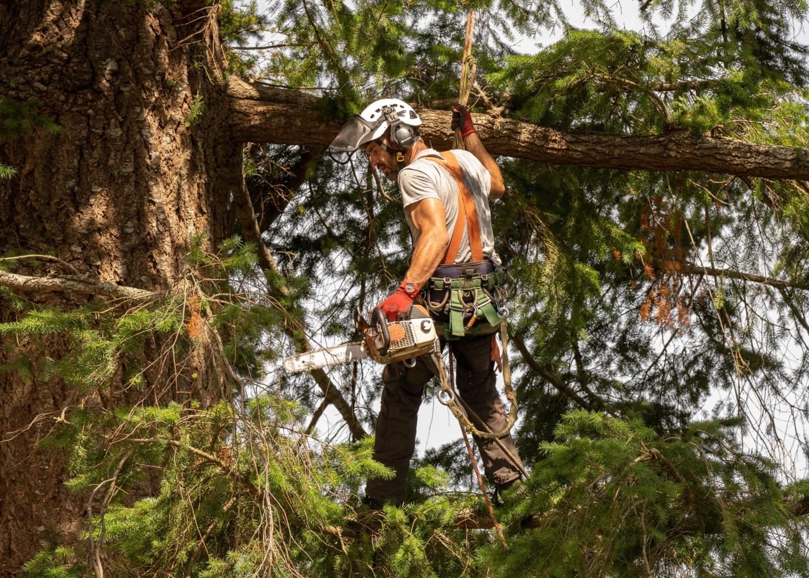 Photo credit: yellowpages.ca