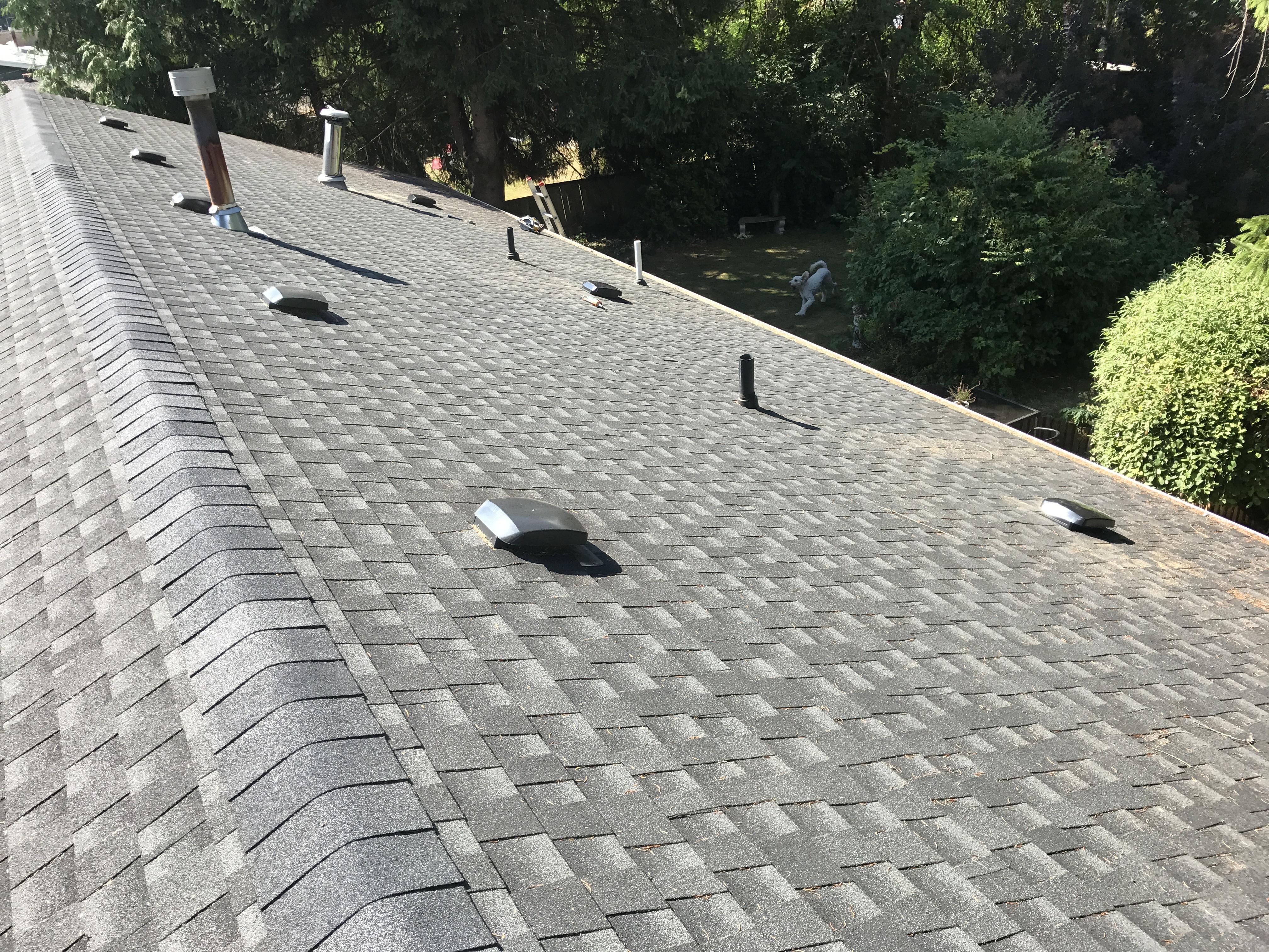 Photo credit: homestars