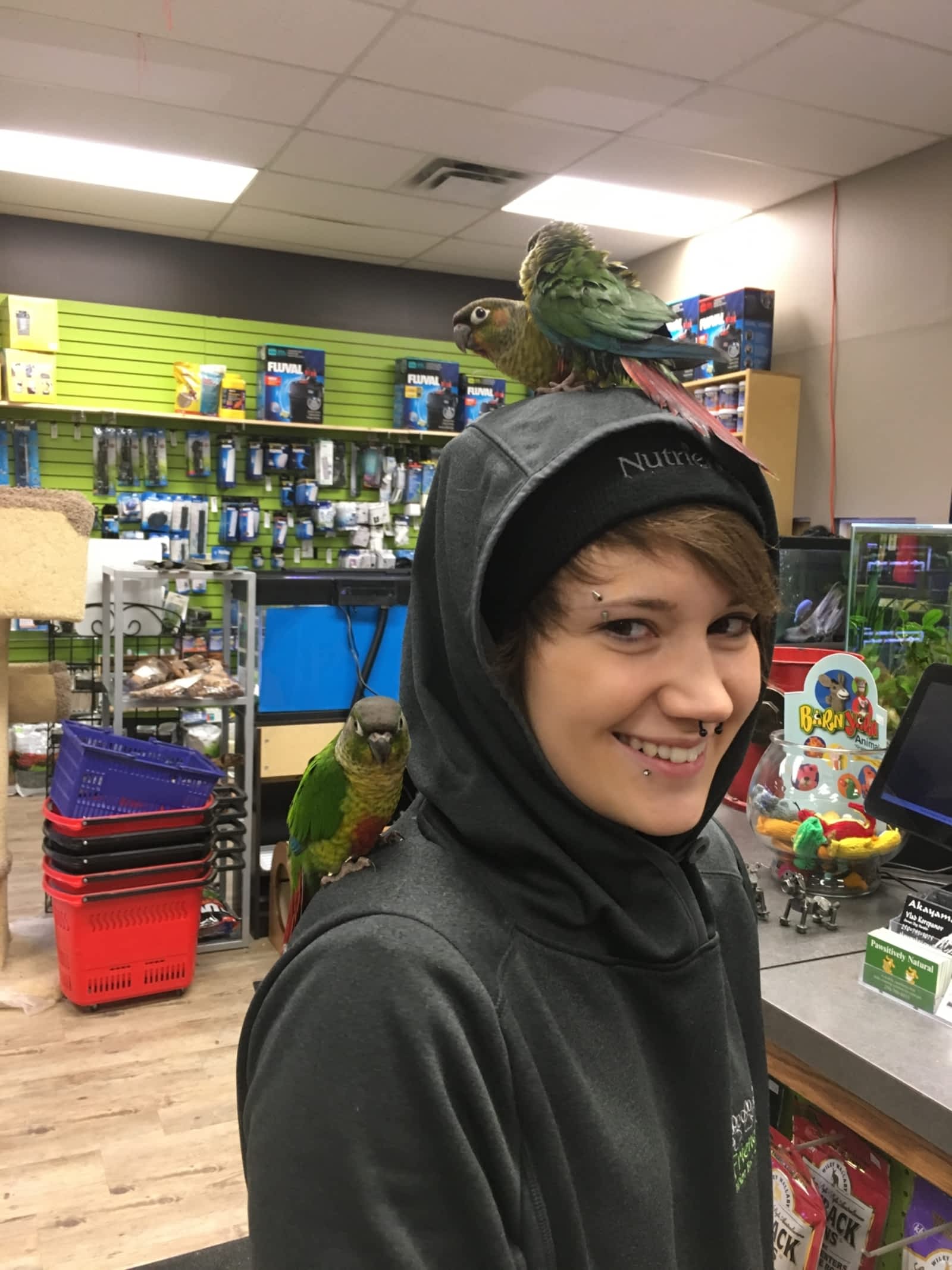 Photo credit: yellowpages.ca