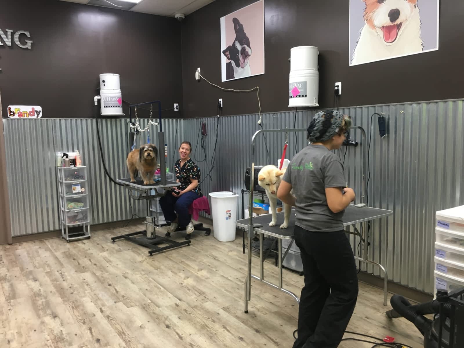 Photo credit: yellowpages.ca