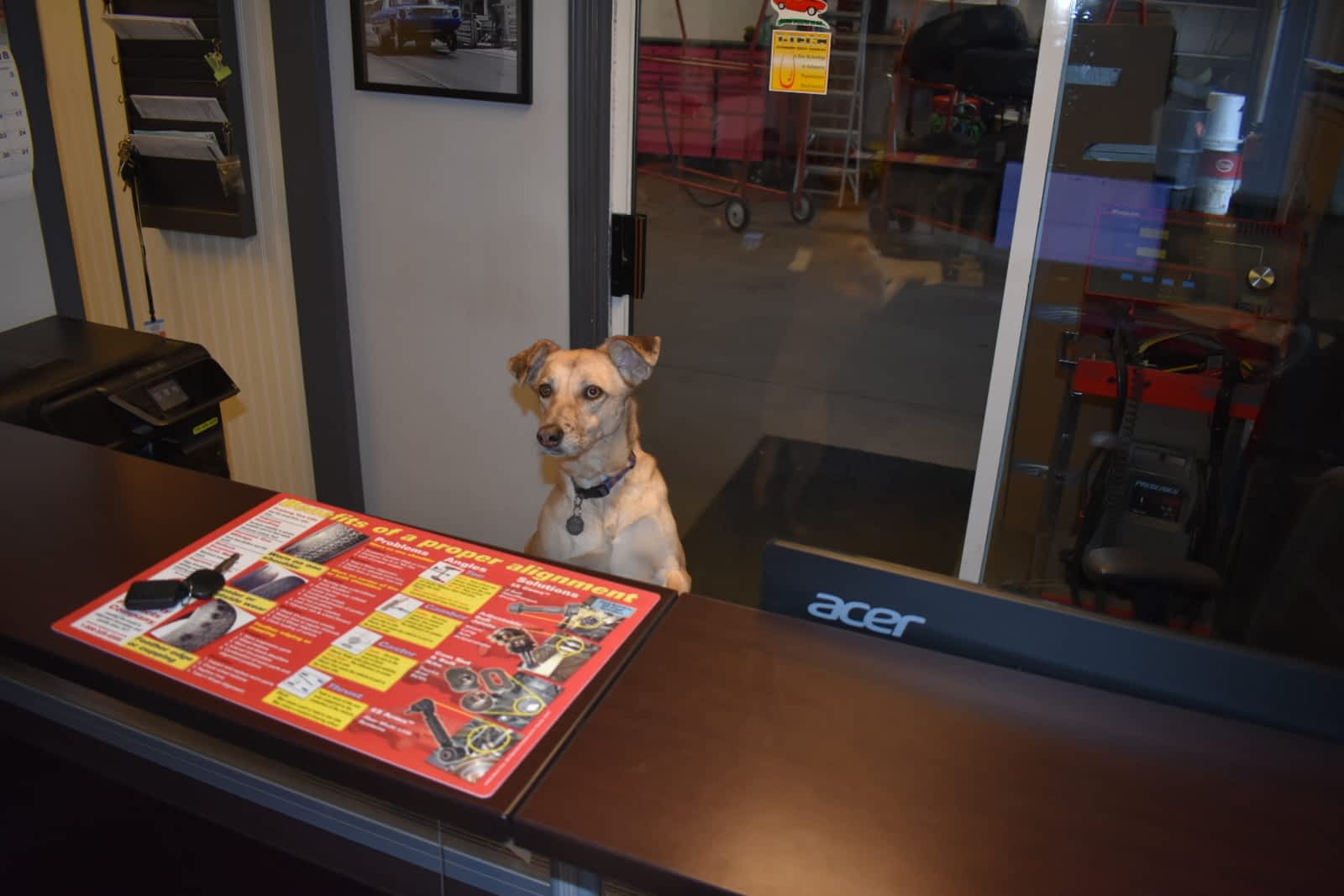 Photo credit: yellowpages.ca