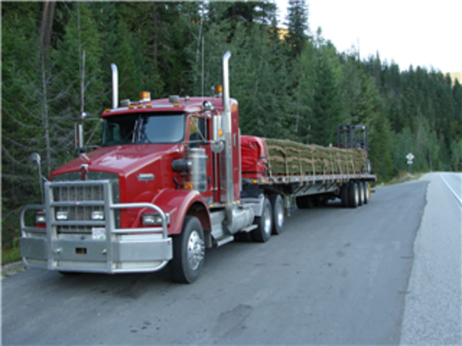 Photo credit: yellowpages.ca