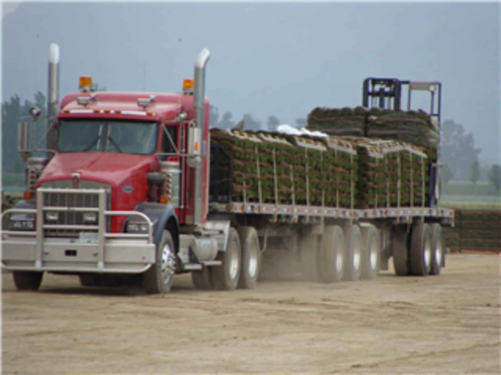 Photo credit: yellowpages.ca