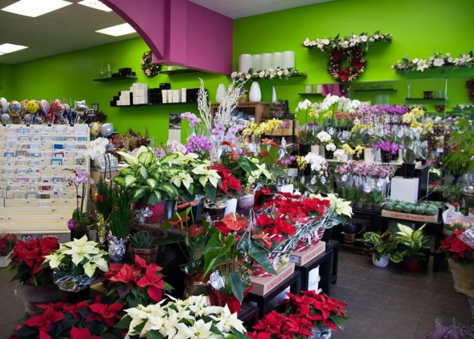 Photo credit: yellowpages.ca
