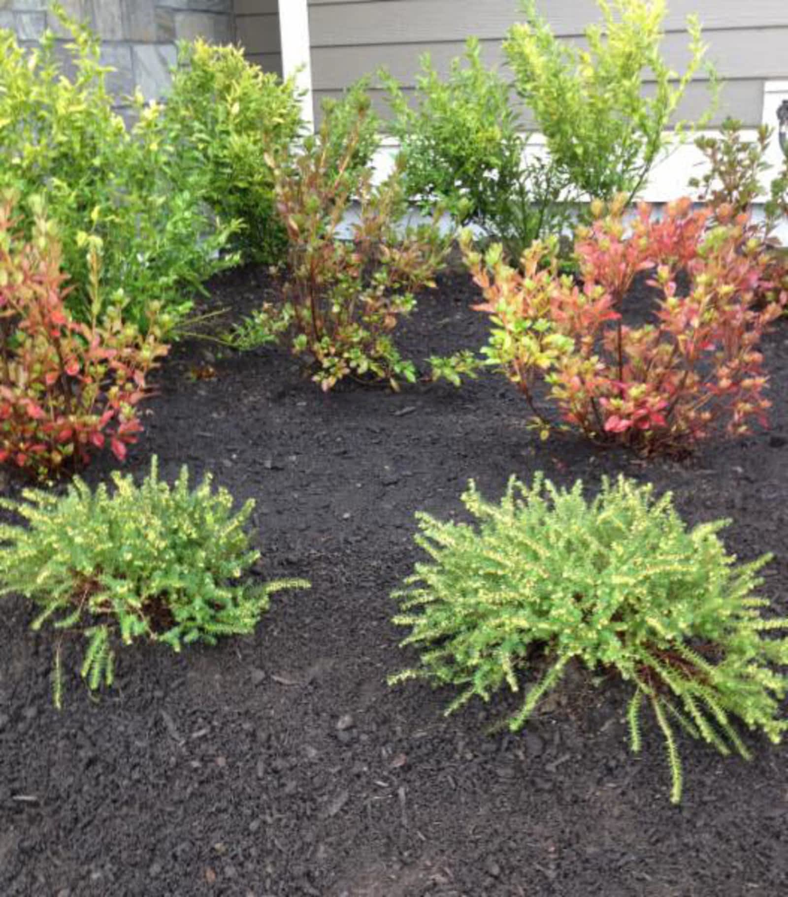 Photo credit: yellowpages.ca