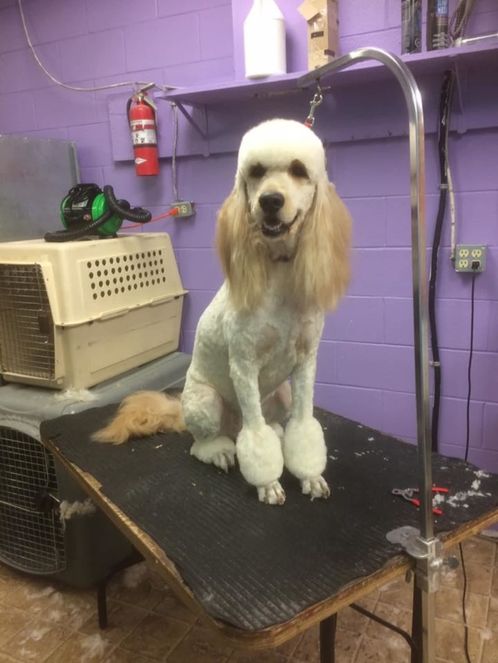 Photo credit: yellowpages.ca