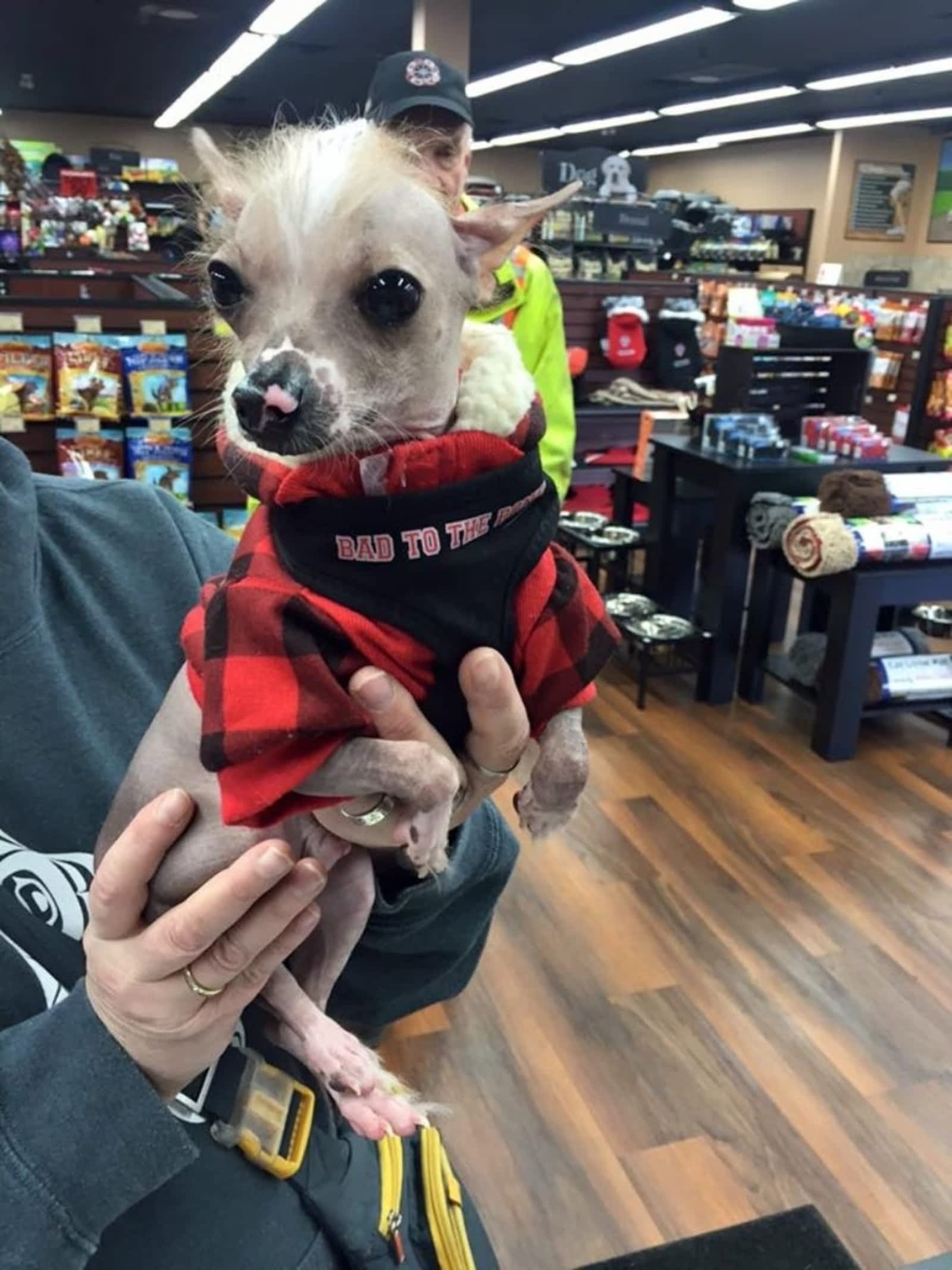 Photo credit: yellowpages.ca