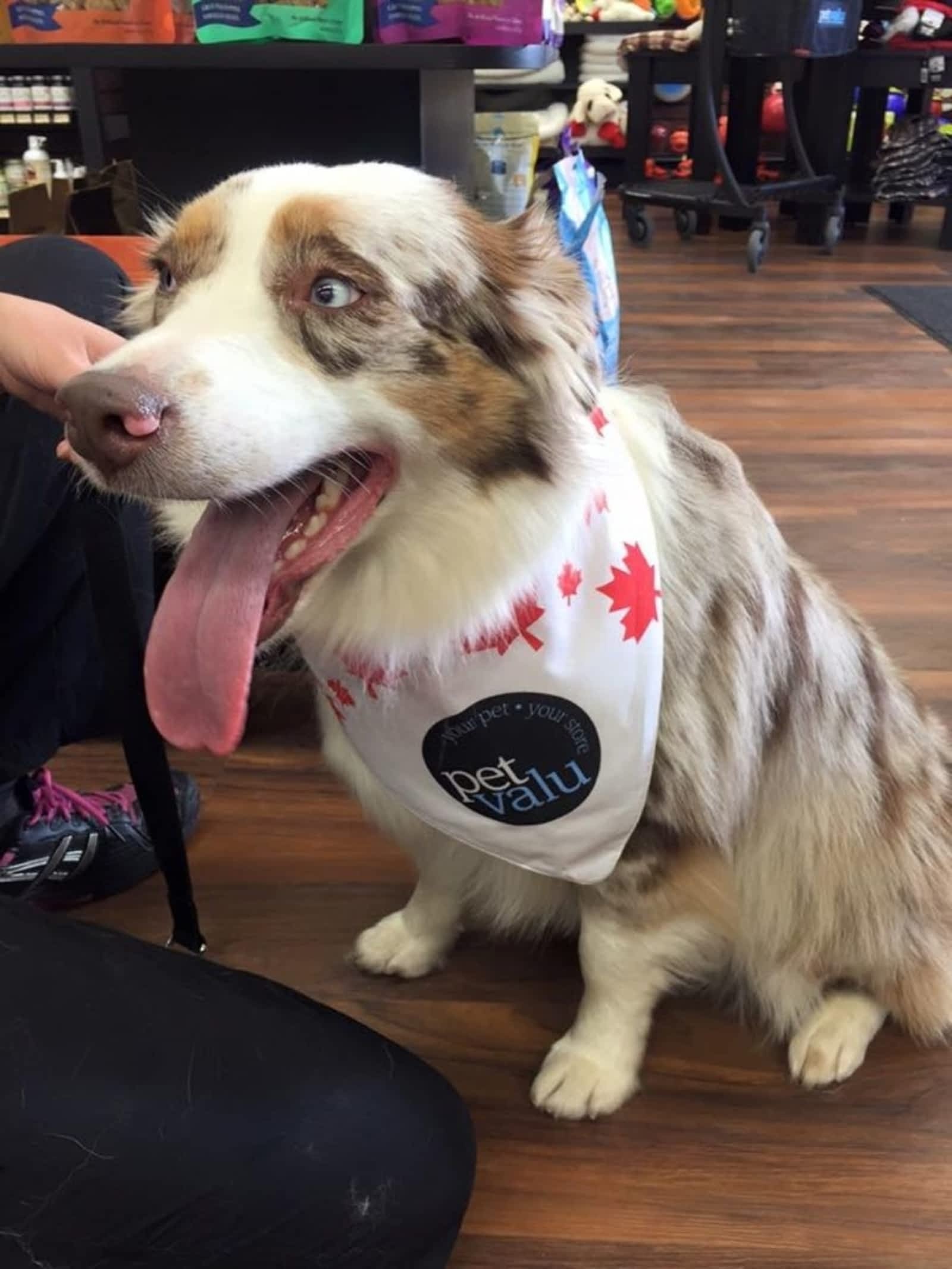 Photo credit: yellowpages.ca