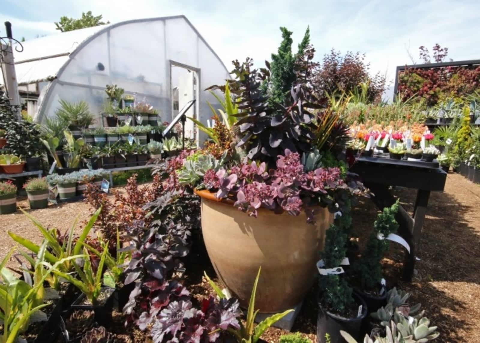 Photo credit: yellowpages.ca