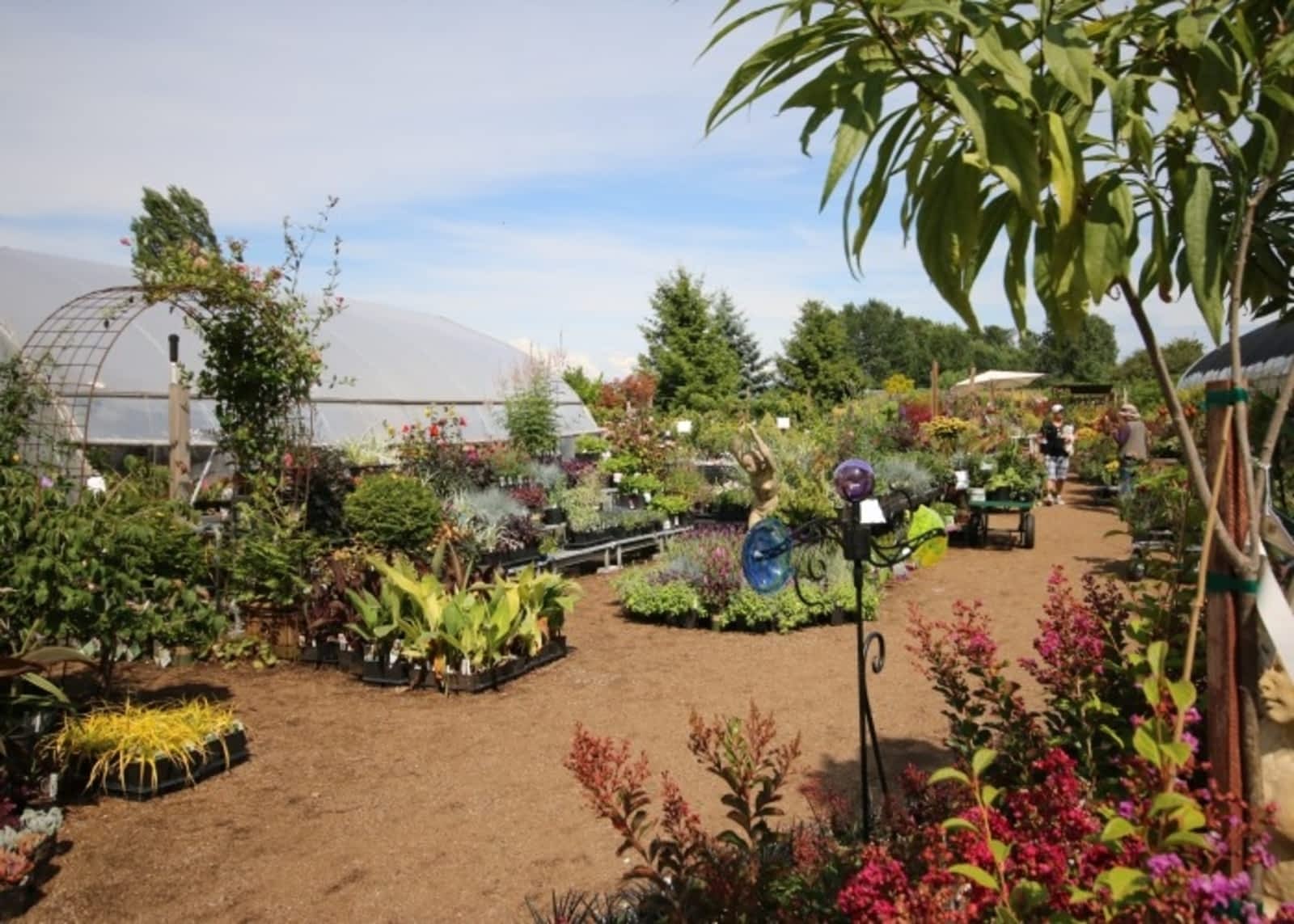 Photo credit: yellowpages.ca