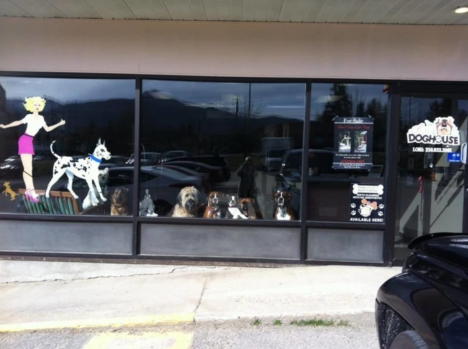 Photo credit: yellowpages.ca