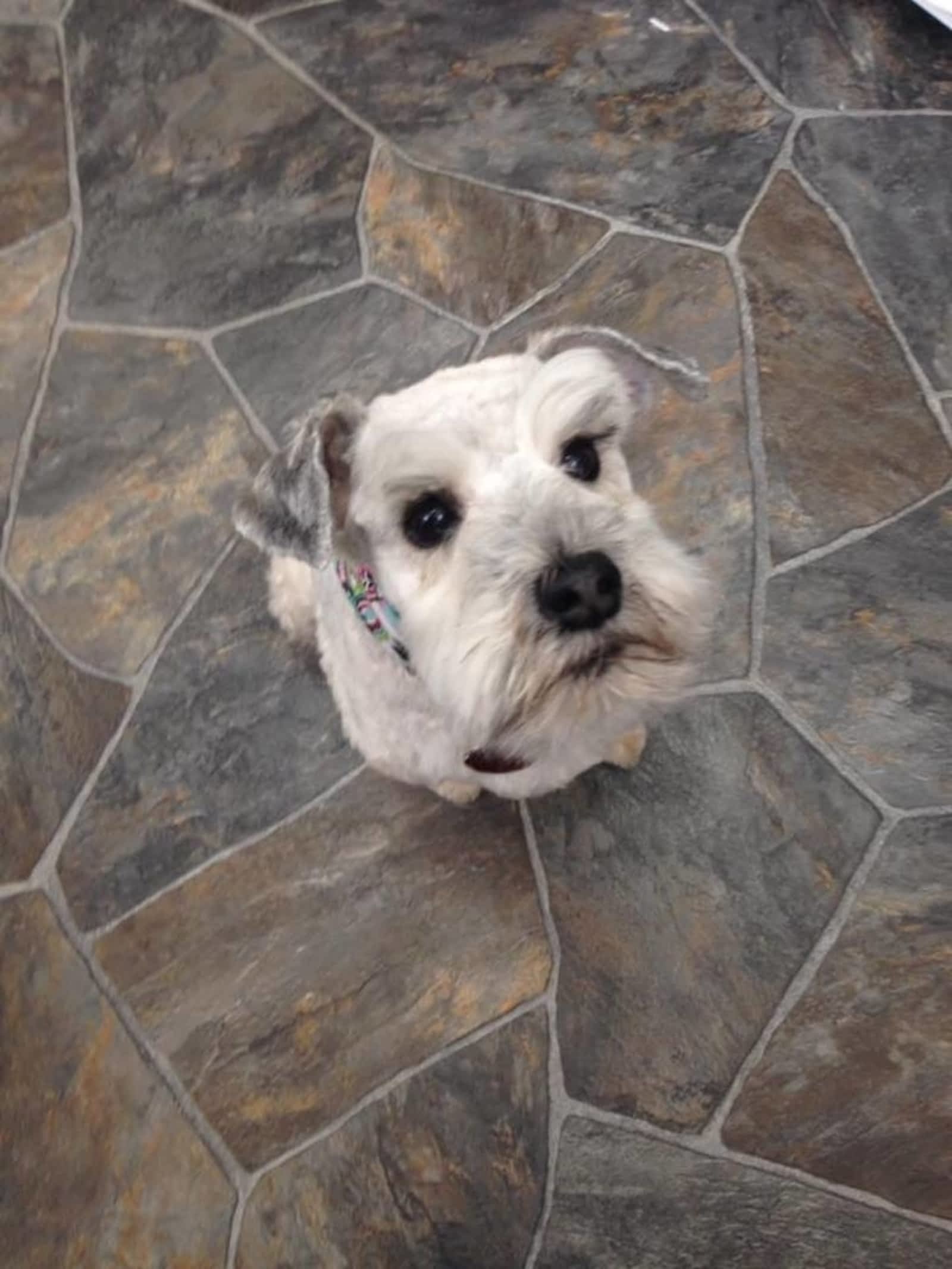 Photo credit: yellowpages.ca