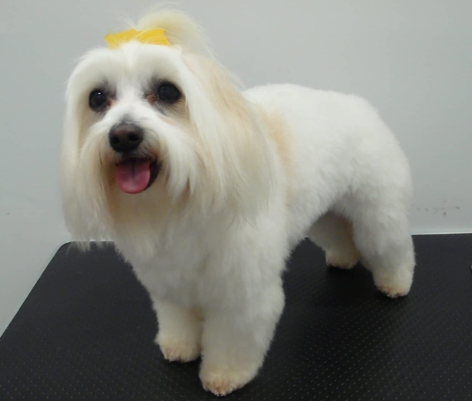 Photo credit: yellowpages.ca