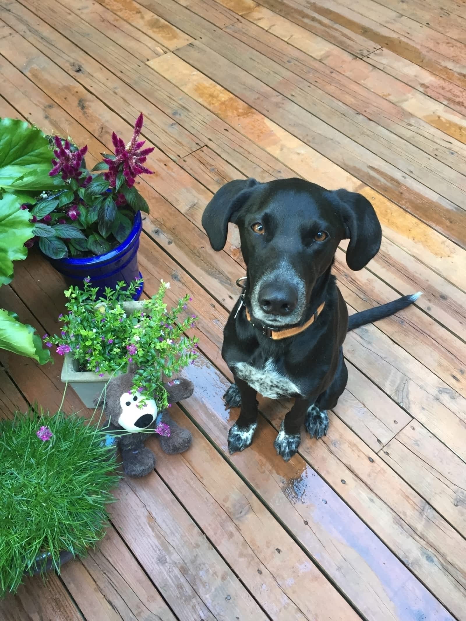 Photo credit: yellowpages.ca