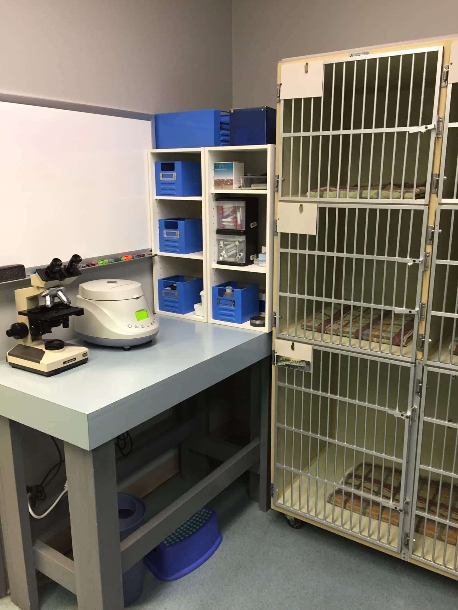 Photo credit: yellowpages.ca