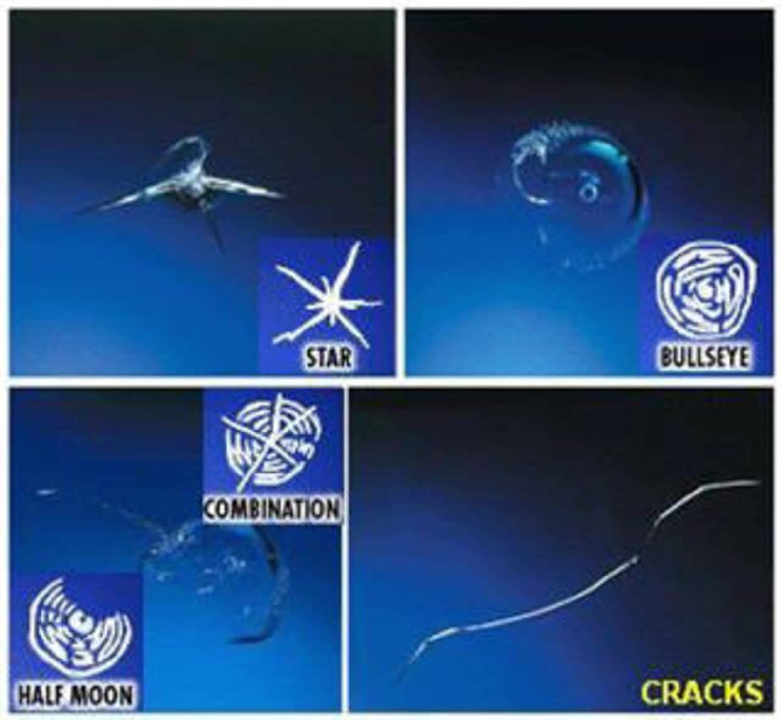 Photo credit: yellowpages.ca