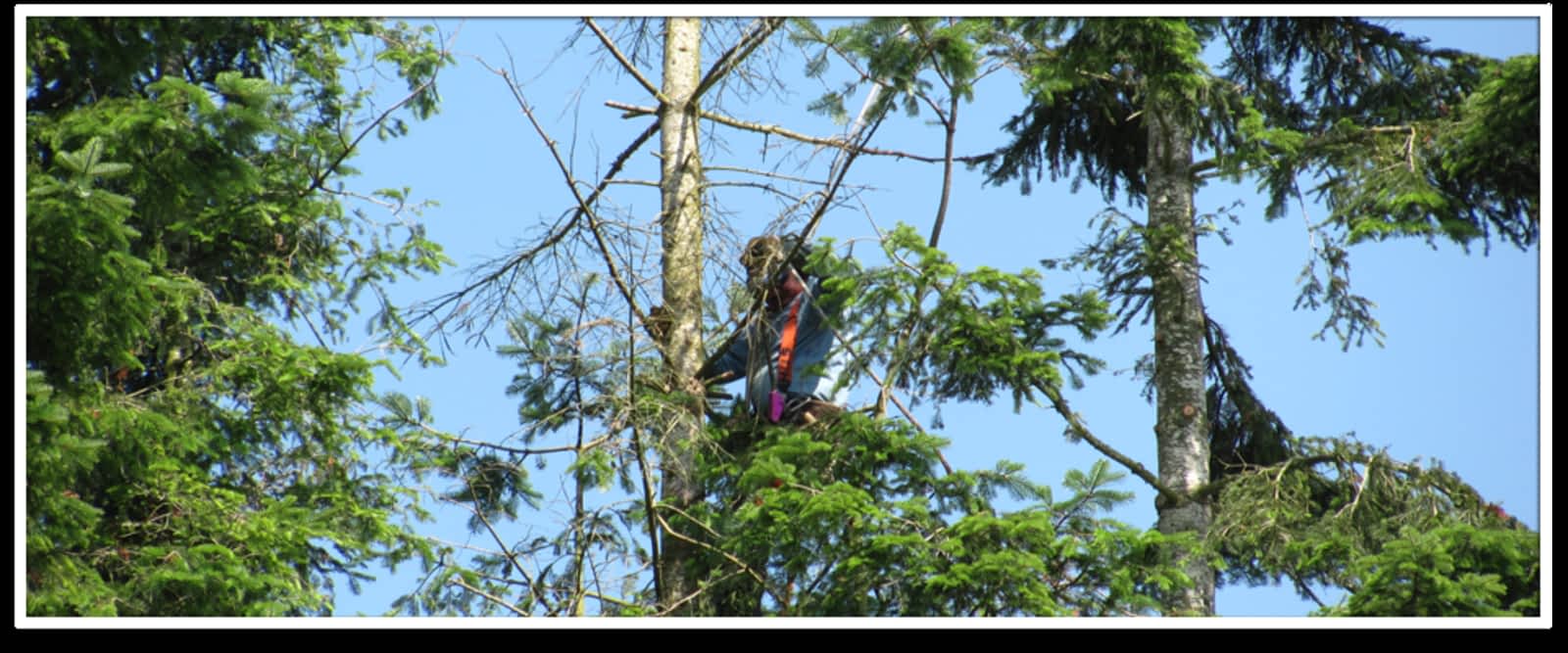 Photo credit: yellowpages.ca