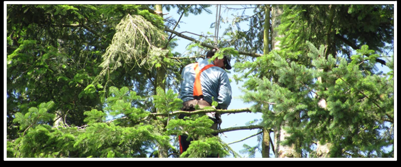 Photo credit: yellowpages.ca