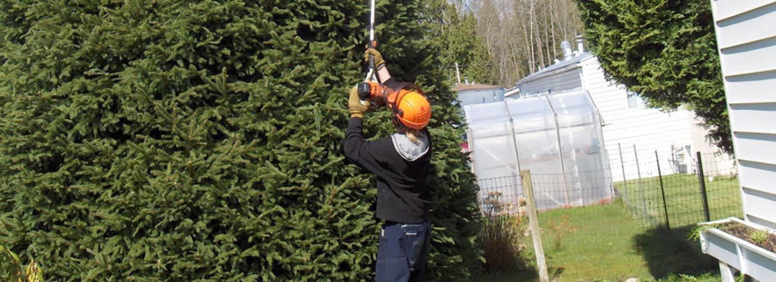 Photo credit: yellowpages.ca