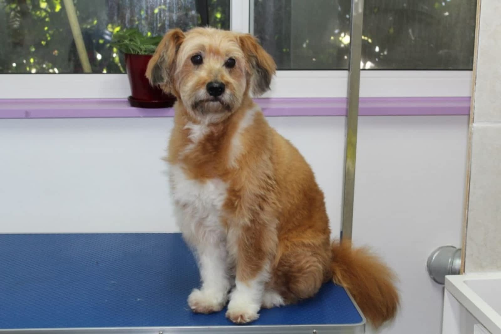 Photo credit: yellowpages.ca