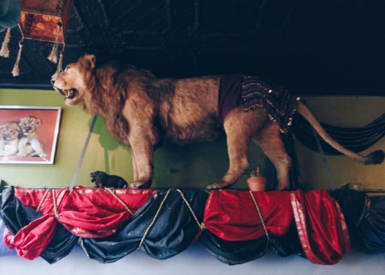 Photo credit: yellowpages.ca