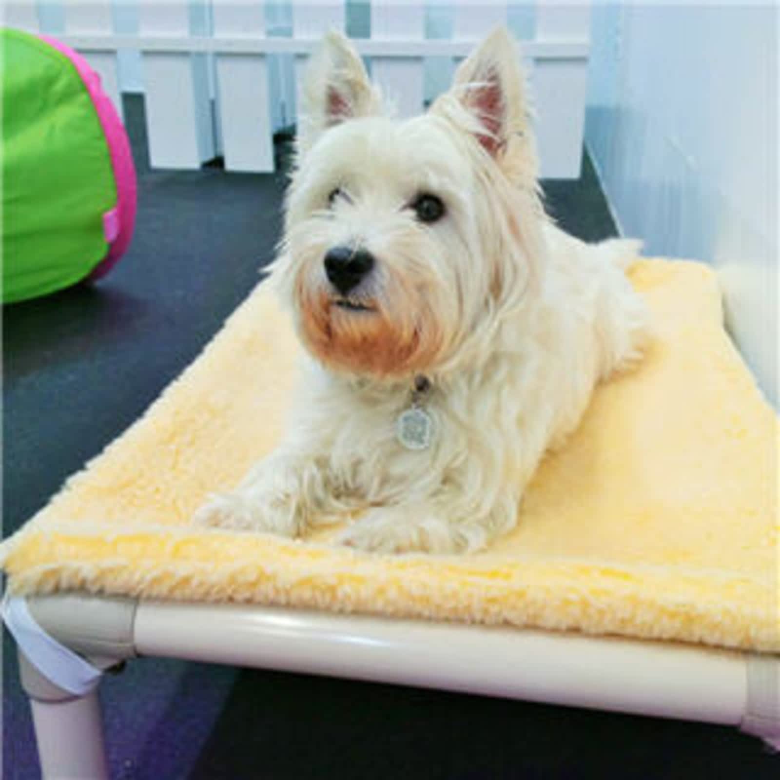 Photo credit: yellowpages.ca