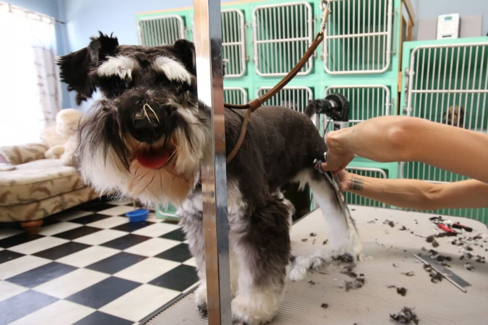 Photo credit: yellowpages.ca