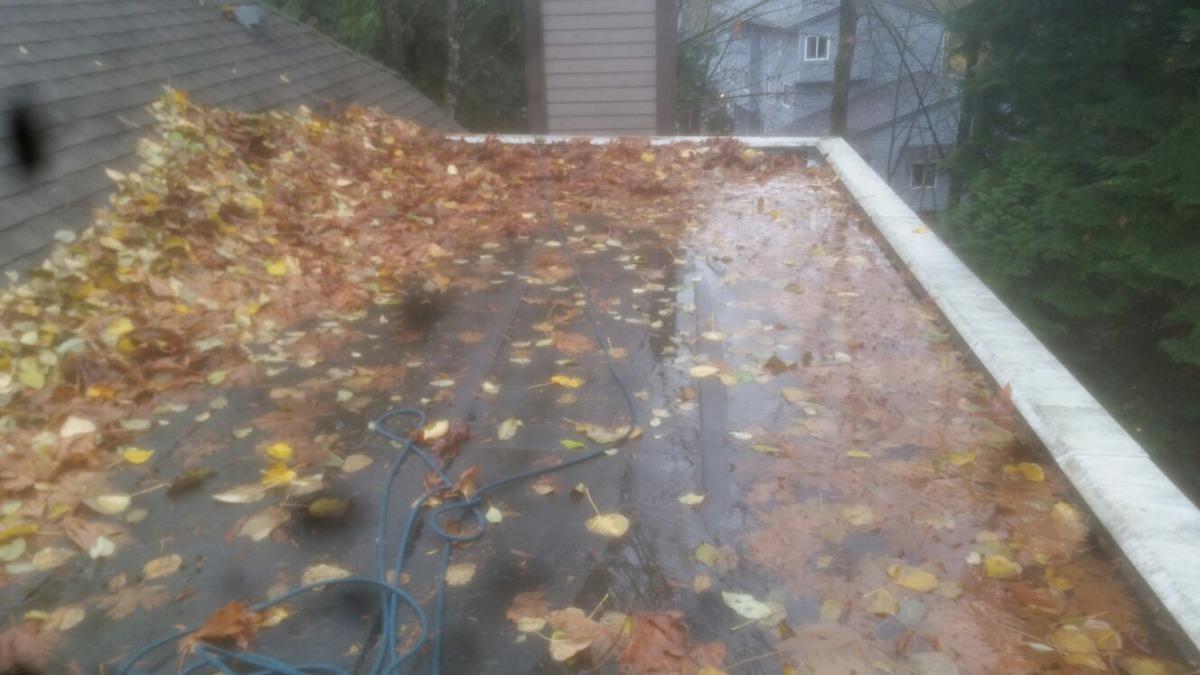 Photo credit: homestars