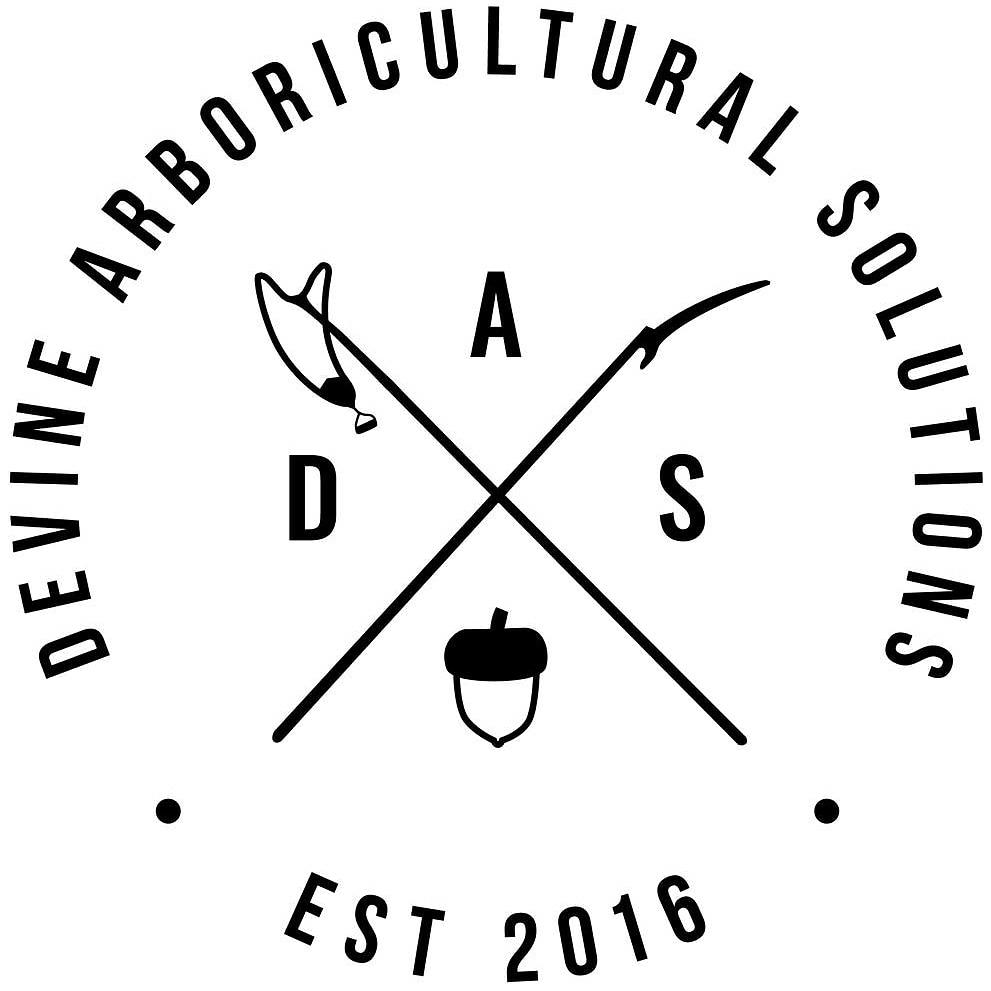 Photo credit: homestars