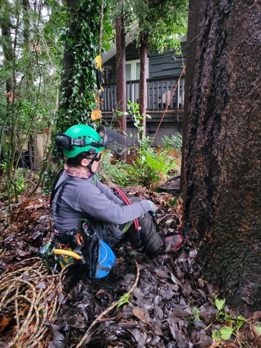 Photo credit: homestars