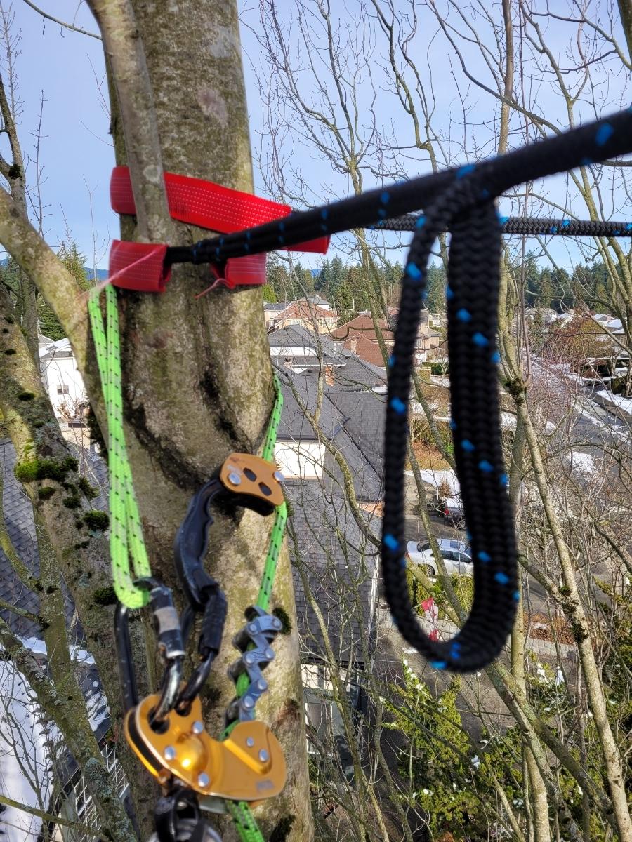 Photo credit: homestars