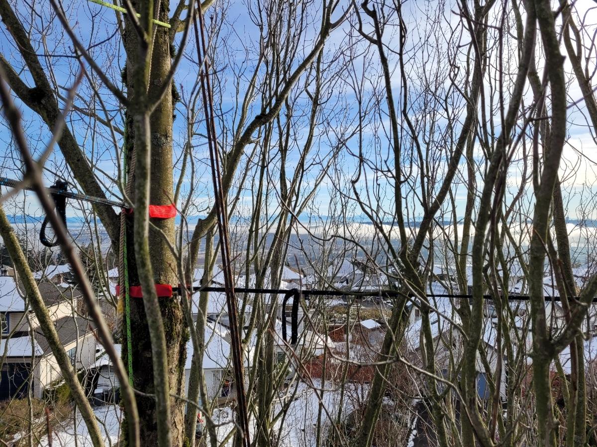 Photo credit: homestars