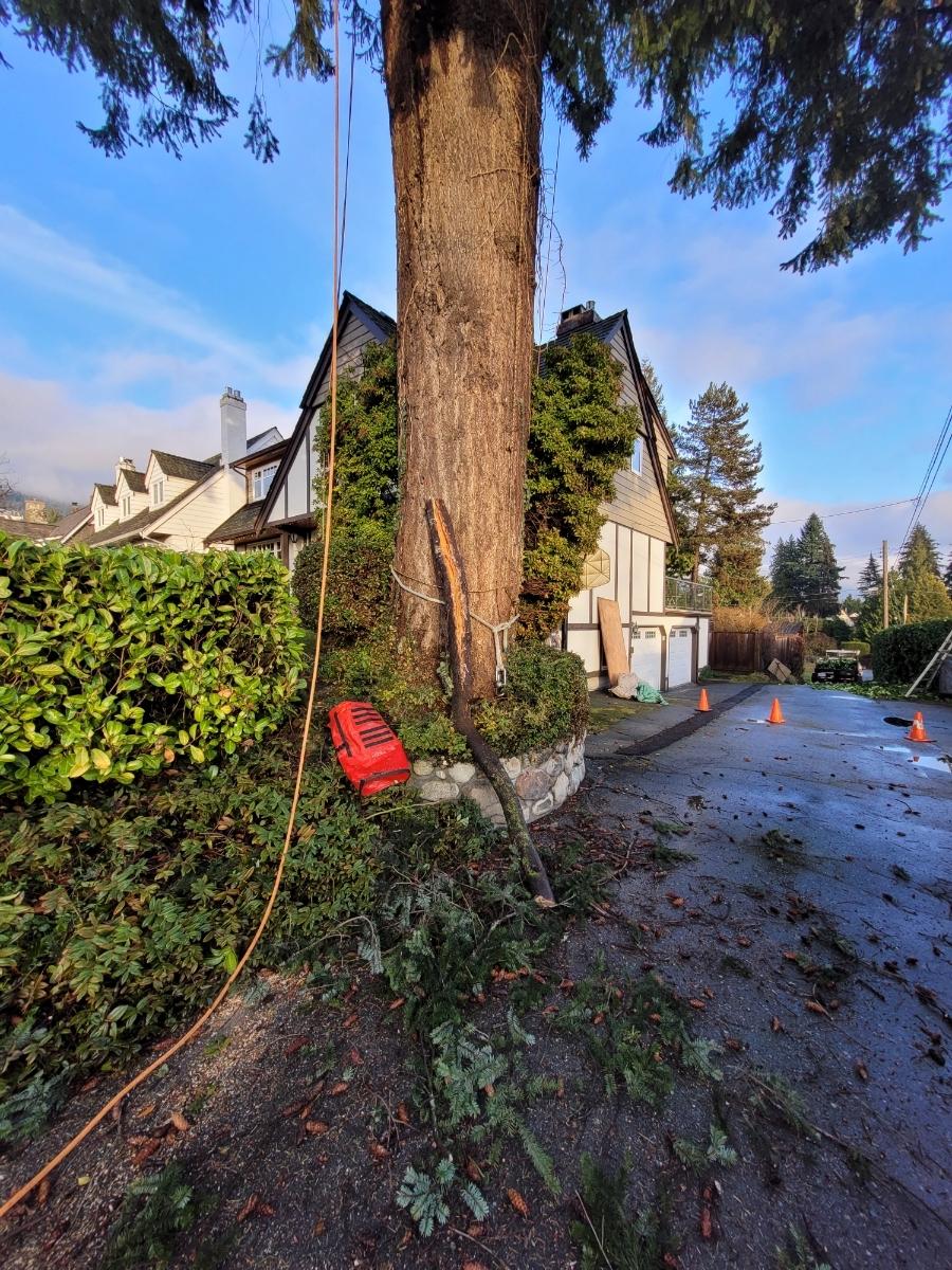 Photo credit: homestars