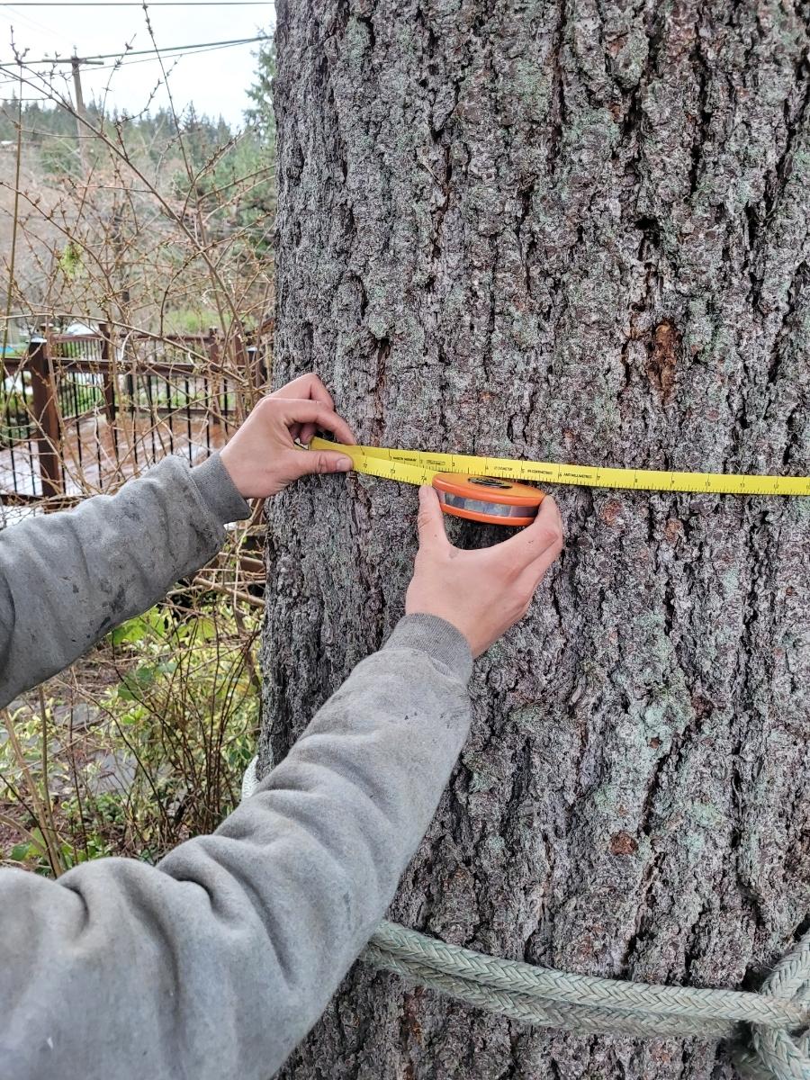 Photo credit: homestars