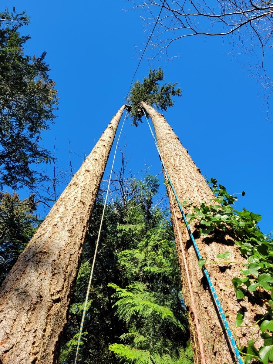 Photo credit: homestars