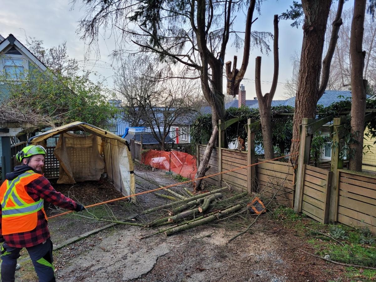 Photo credit: homestars