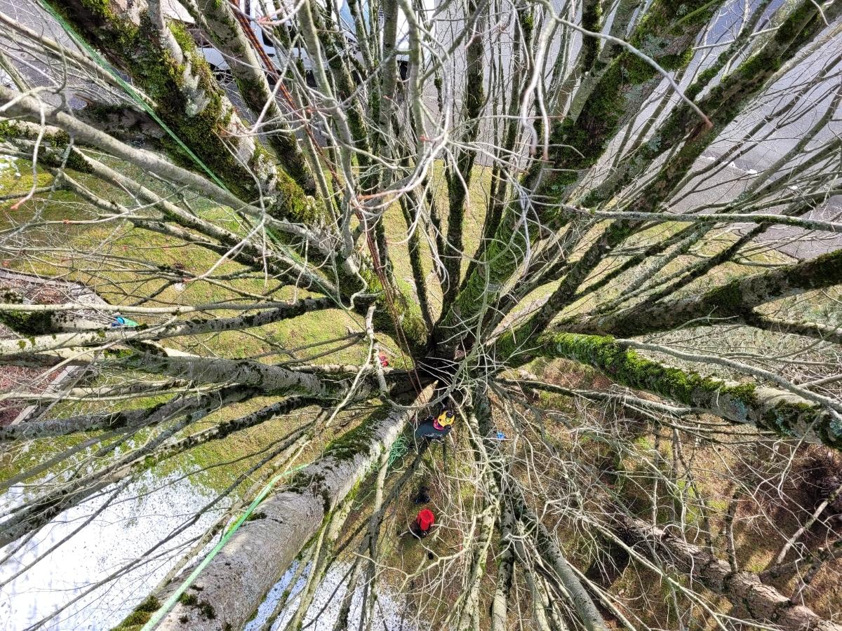 Photo credit: homestars