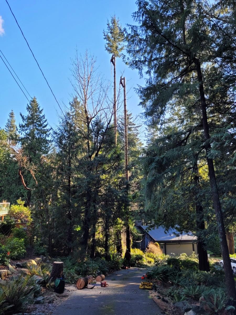 Photo credit: homestars