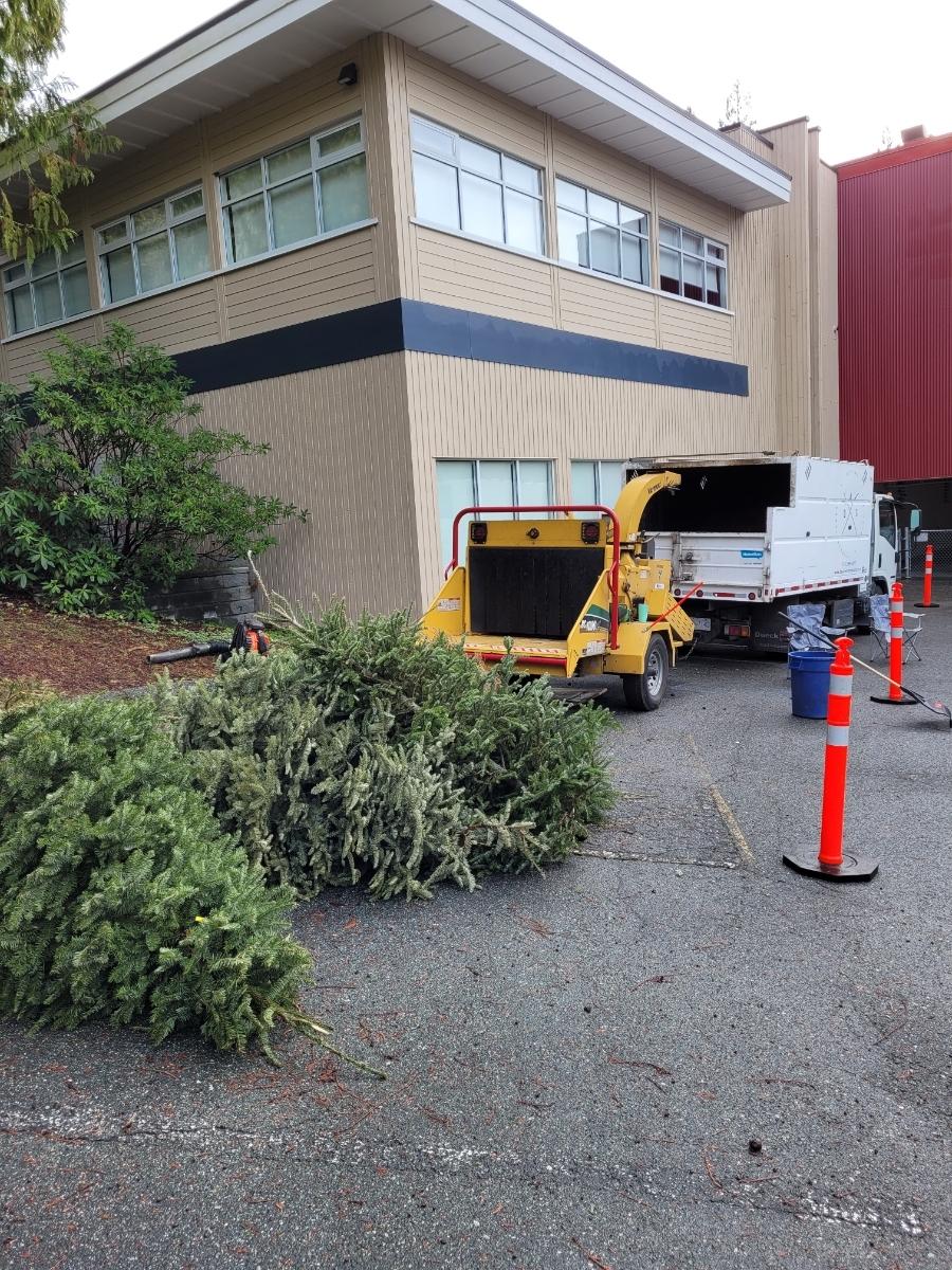 Photo credit: homestars