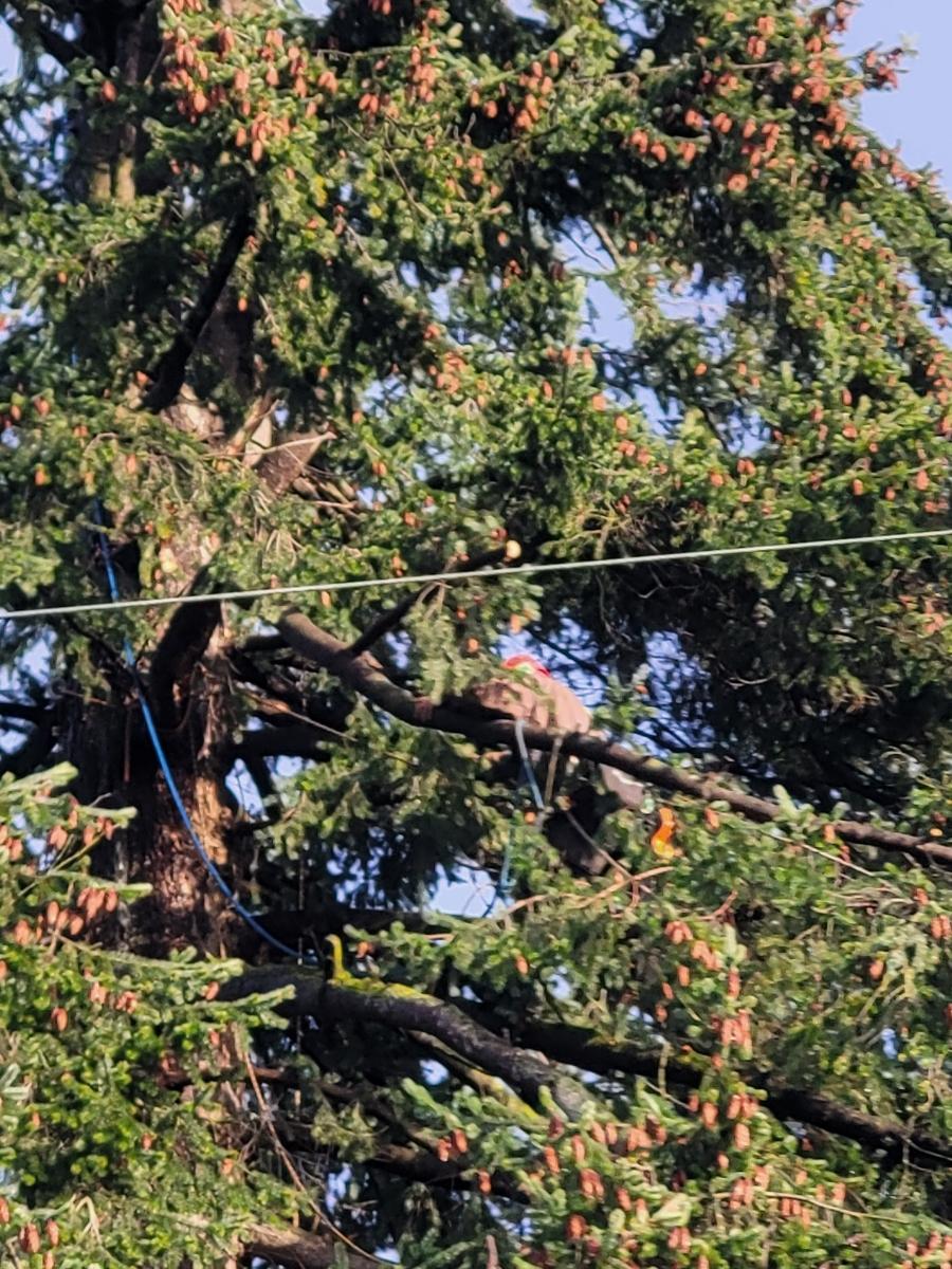 Photo credit: homestars