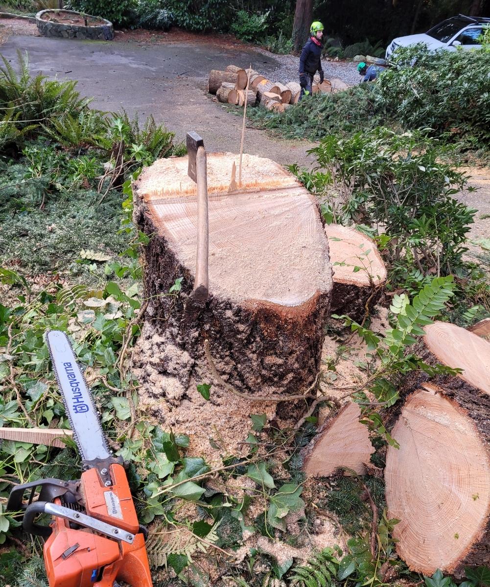 Photo credit: homestars