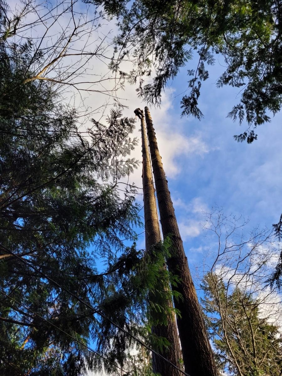 Photo credit: homestars