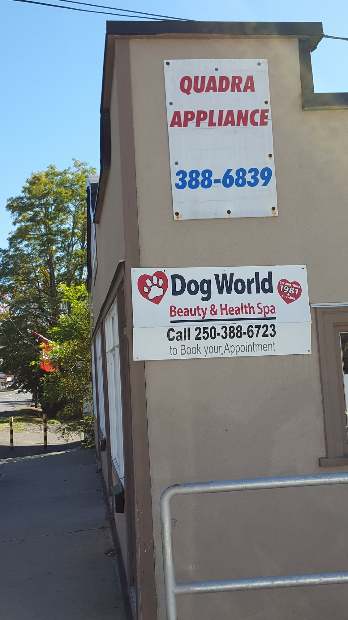 Dog World Beauty Shop