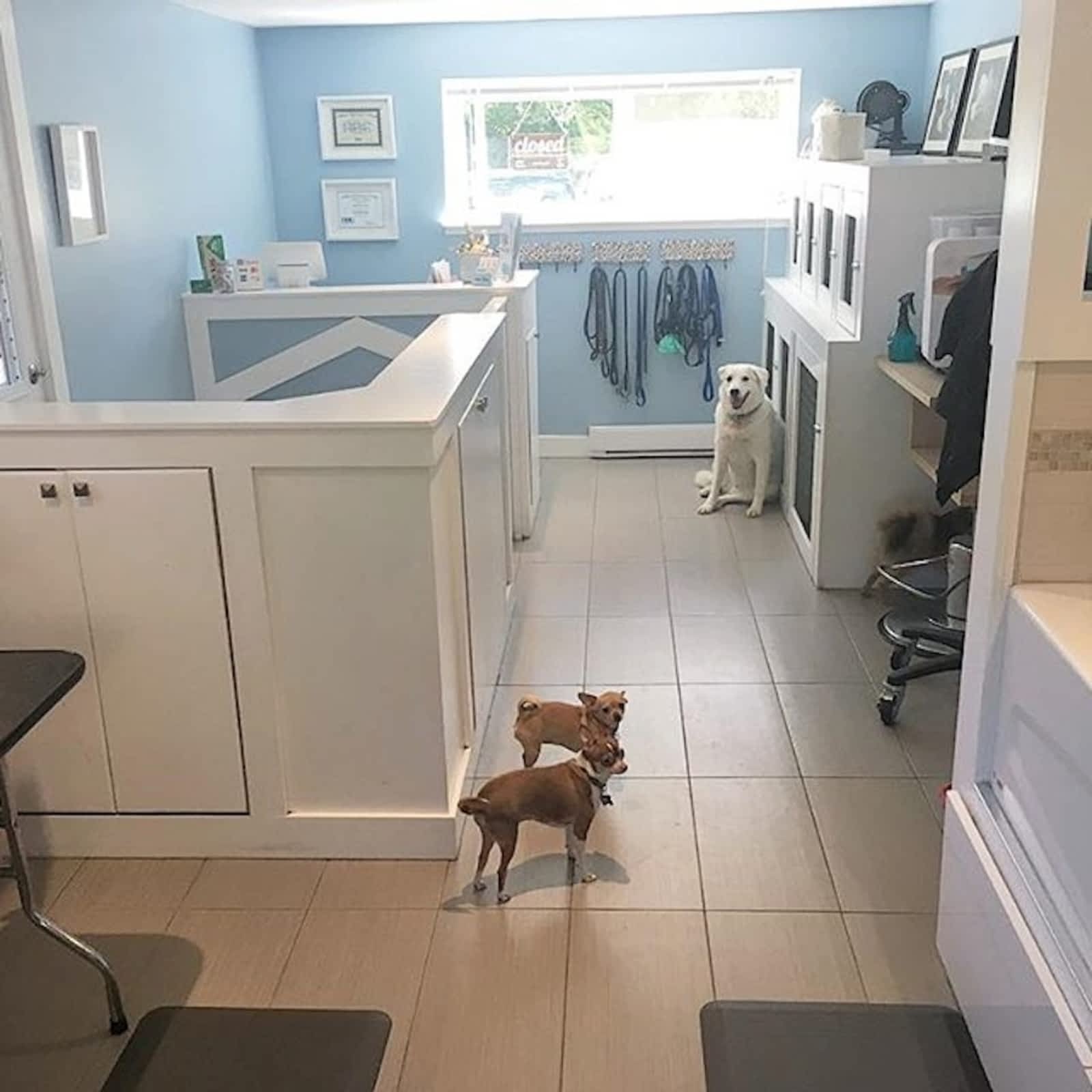 Photo credit: yellowpages.ca