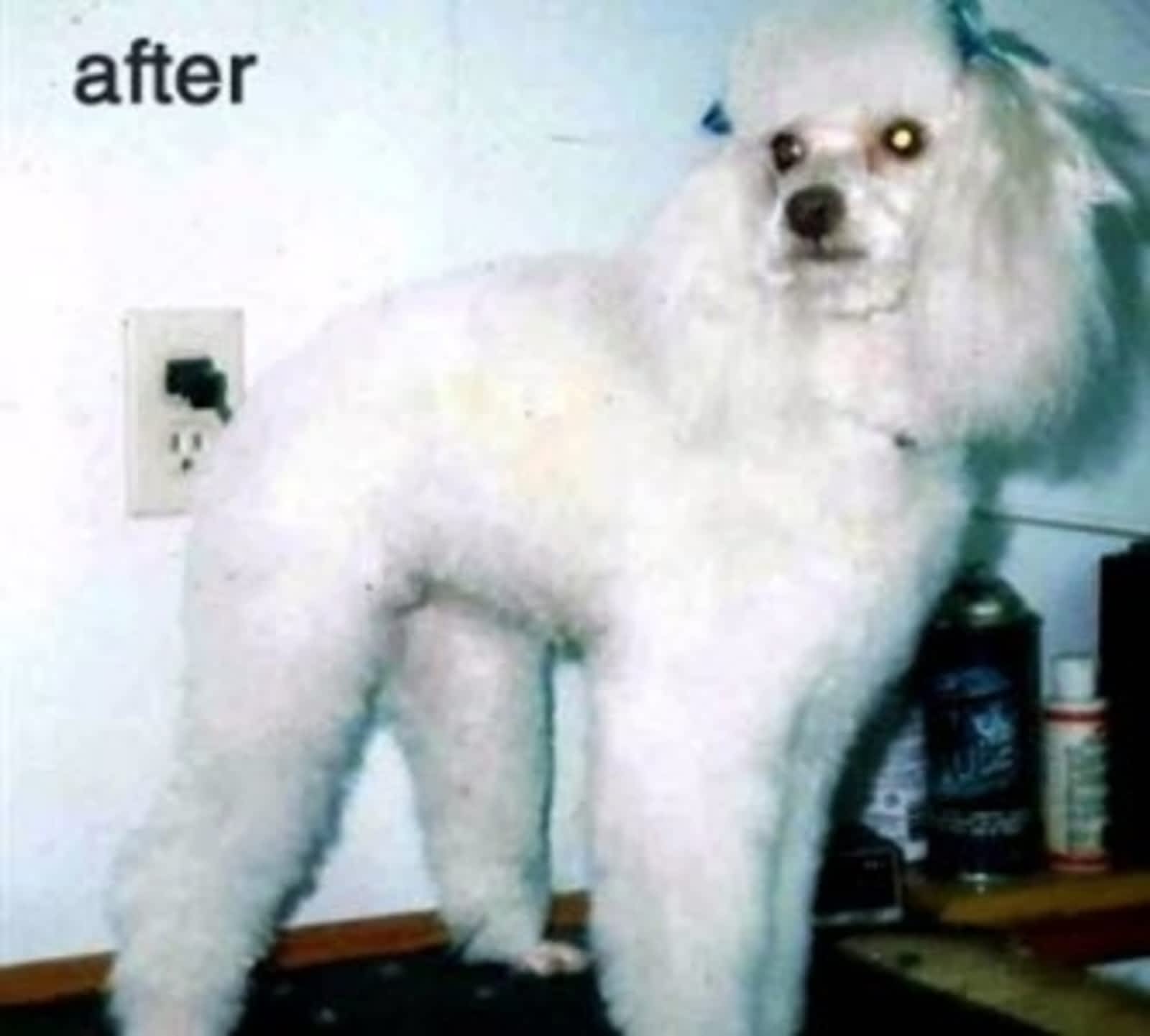 Photo credit: yellowpages.ca